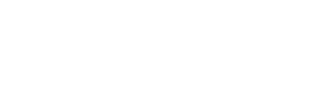 AviviD Logo